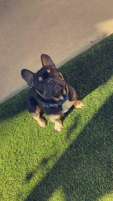 photo of Lala Celeste R.