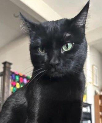 photo of sweetnvulgar