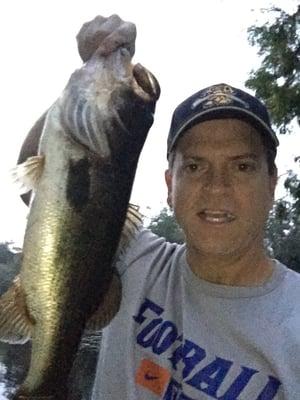 Photo of Steve T.