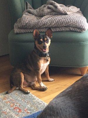 photo of Samantha L.