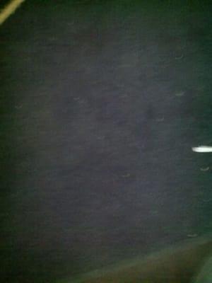 Photo of Holden F.