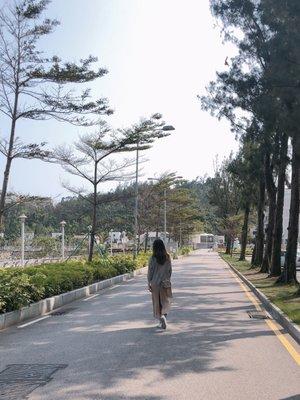 Photo of Yoyo L.