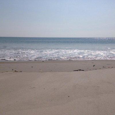 photo of Michelle M.