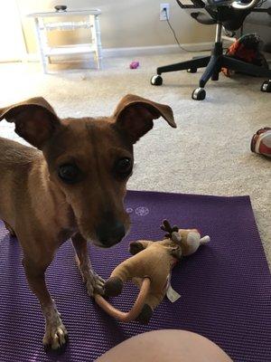 photo of Kimberly W.