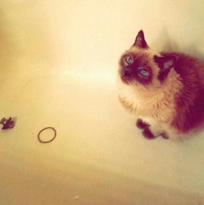 photo of Michelle B.