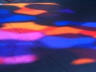 photo of Steffanie S.