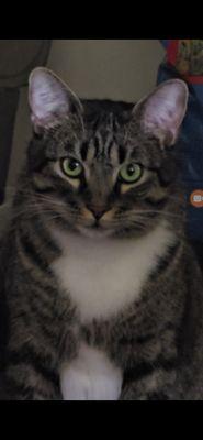 photo of DanielleandMia C.