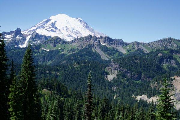 photo of Michelle K.