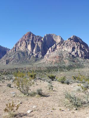 Photo of J B.