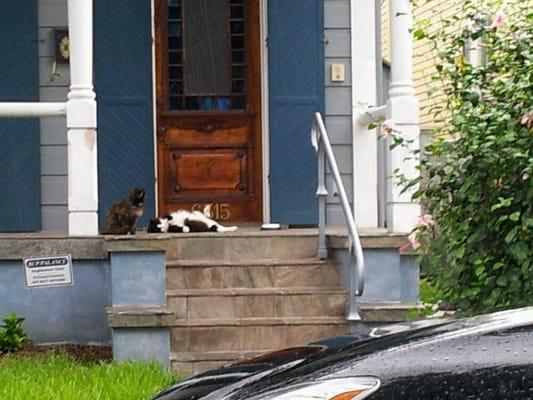 photo of Kathleen D.