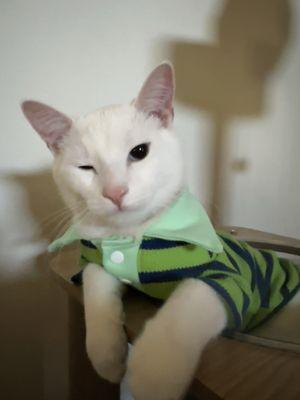 photo of Angelica R.