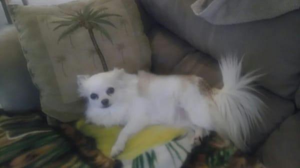 Photo of Dee V.