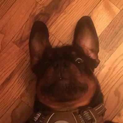 photo of Christina T.