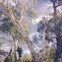 photo of Jacqueline P.