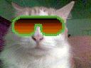 Photo of MR L.