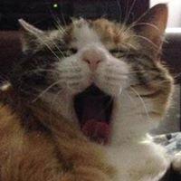 photo of Michelle C.