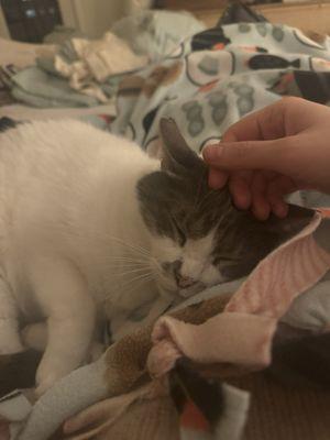 photo of Valentina N.