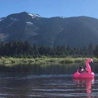 photo of Felicity R.