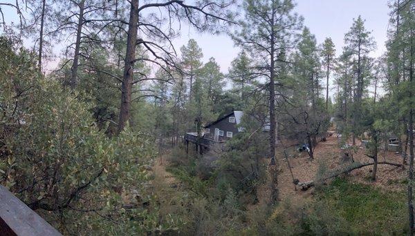 photo of Danielle D.