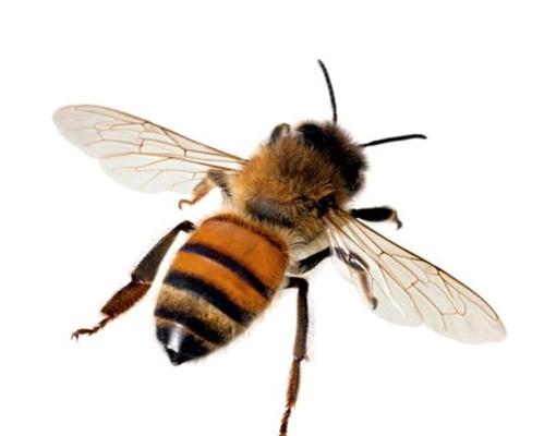 Photo of Miss B.
