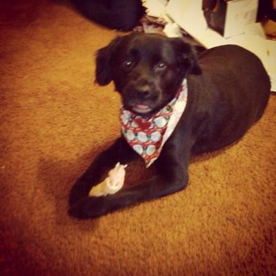 photo of Warnetta L.