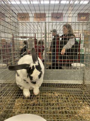 photo of Isabella S.