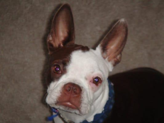 Photo of Aidan B.