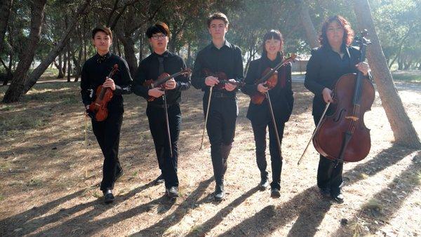 photo of Songbird Q.