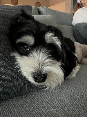 photo of Virginia T.