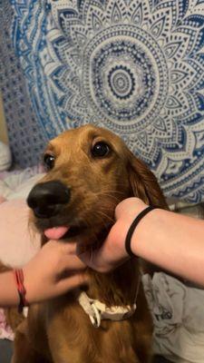 Photo of Valentina R.