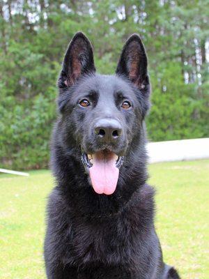 photo of M. David W.