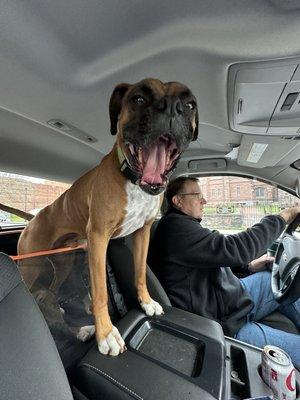 photo of Dog-Lover C.