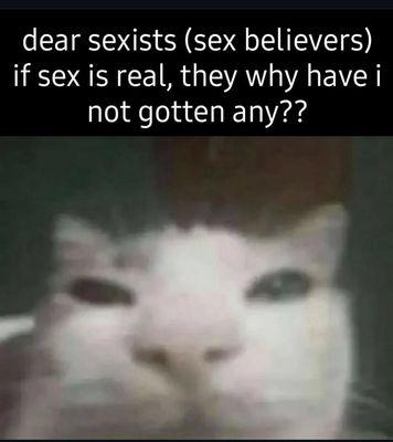 photo of Ripcalifornia ..