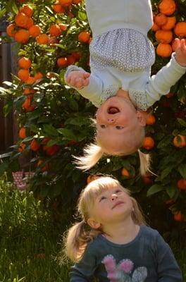 Photo of DeLesley H.