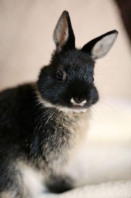 photo of Just S.