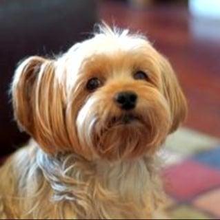 photo of Jennifer L.