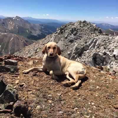 photo of Corrinne J.