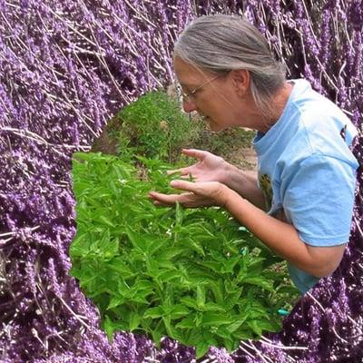 photo of Catherine C.