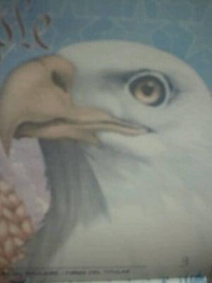 Photo of Bessie S.