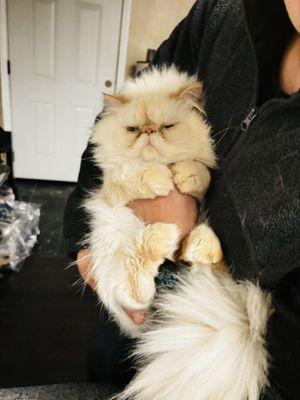 photo of Yim Kuen Kamen C.