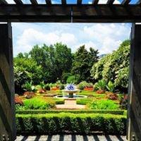 photo of Marialana D.