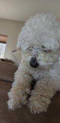 photo of Priscila R.