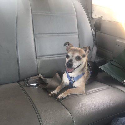 photo of Jennifer L.