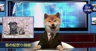 Photo of Crypto K.