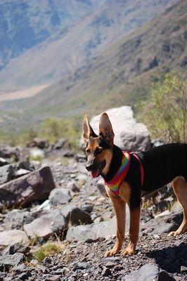 photo of Catherine D.