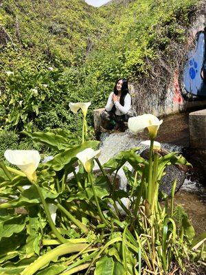 Photo of Alondra I.
