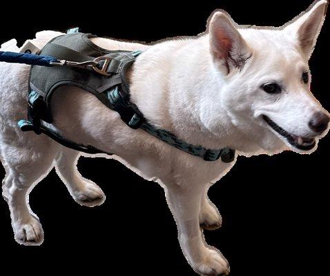 photo of Michelle B.