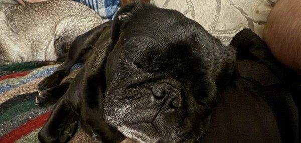 Photo of Bruce ..