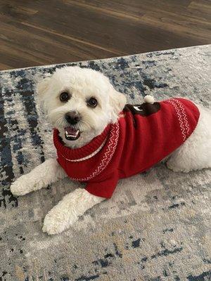 photo of Stephanie T.