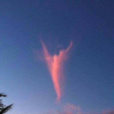 photo of Madalene R.